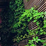 Gardenia_n.343_CairoEditore_BreraMilano_Terrazzo_02